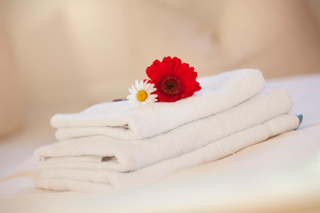 Hotelpension Zum Gockl Allershausen Quarto foto